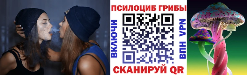 Галлюциногенные грибы прущие грибы  Купить  Петухово 
